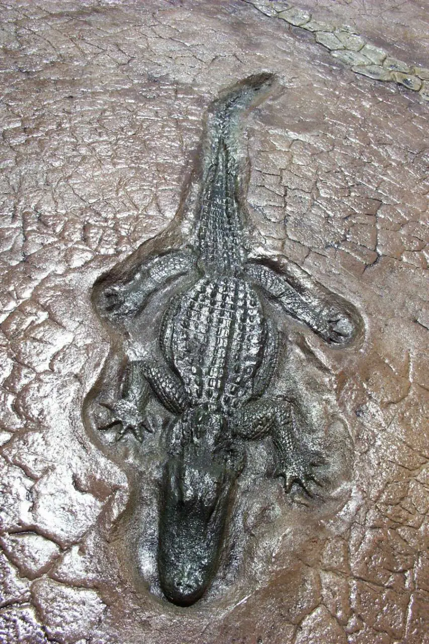 A crocodile relief set into stamped paving