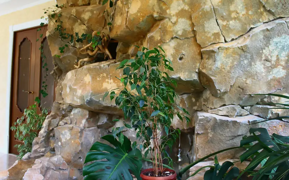 Imitation rock wall with plants in a winter garden