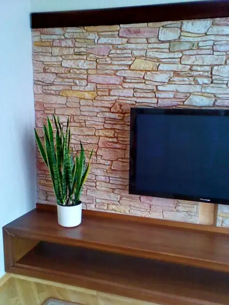 Pink and ochre layered stone feature wall with a wall-mounted television and a snake plant on a timber shelf