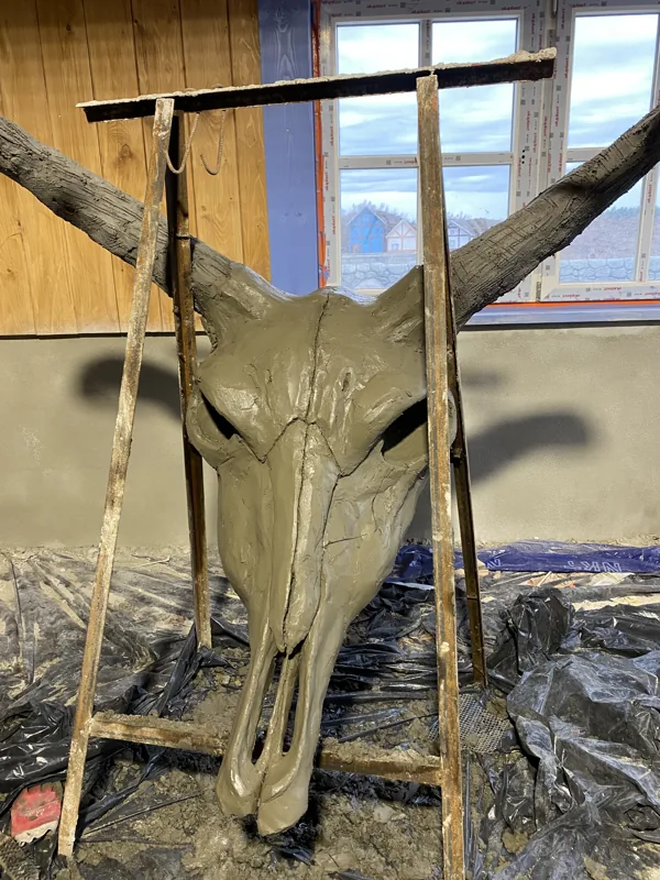 The horned skull on its frame in the workshop